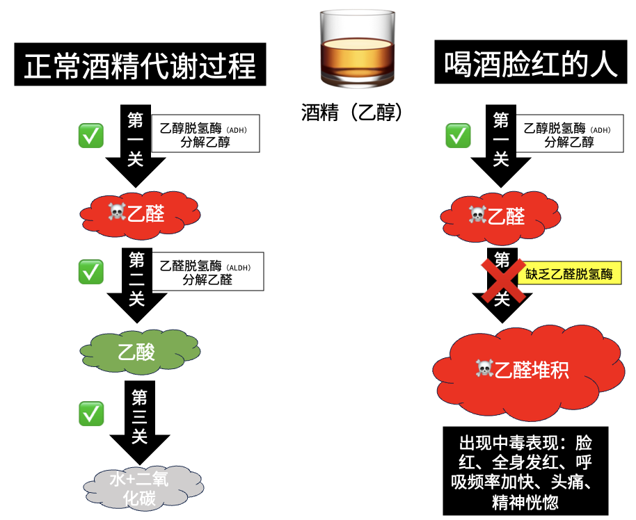490985b7d498ada29ca72b720cc11ae0.png