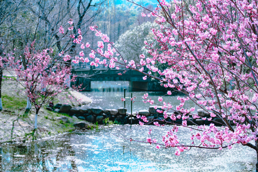 93362dcad690bf442f632307ce8cdc66.png